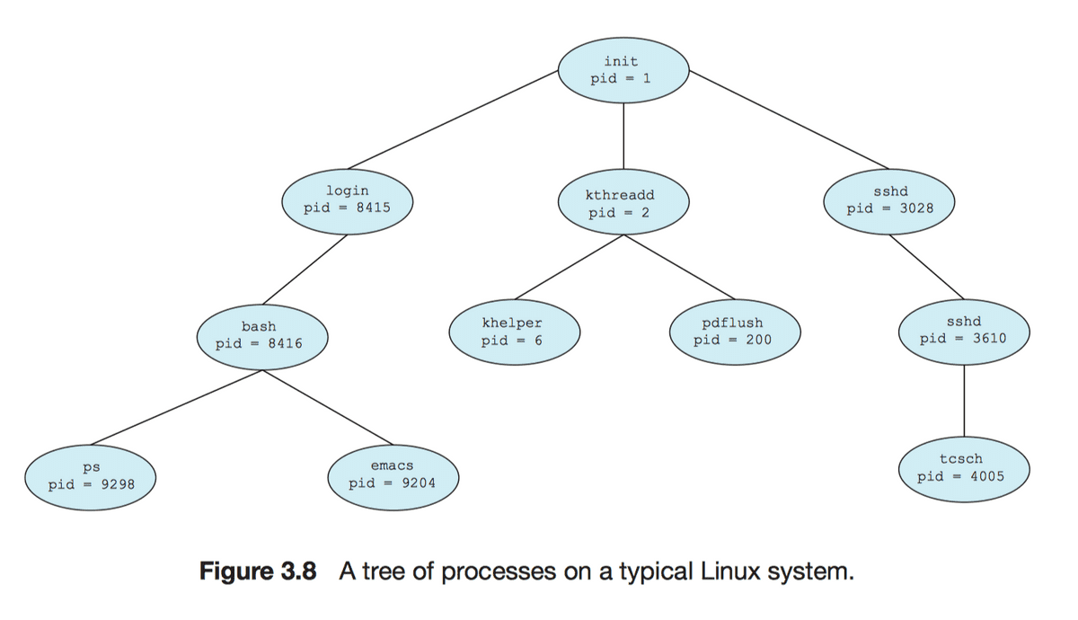 tree of processes