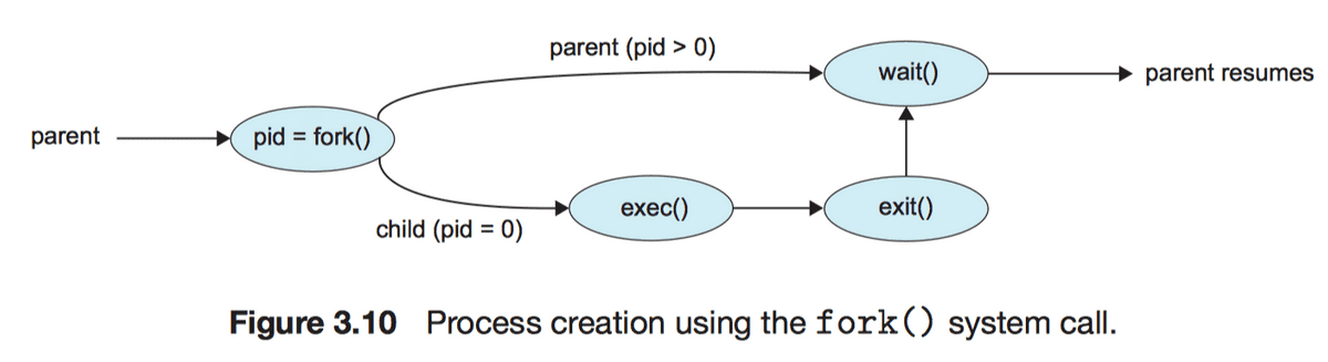 process cycle